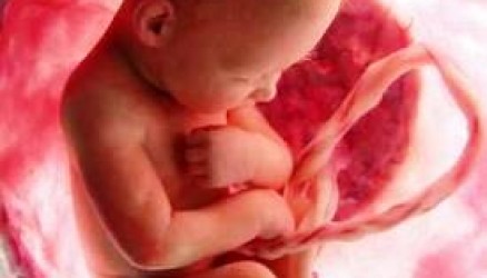Hamileyken Bebeğinizden Kordon Kanıyla Haber Alın